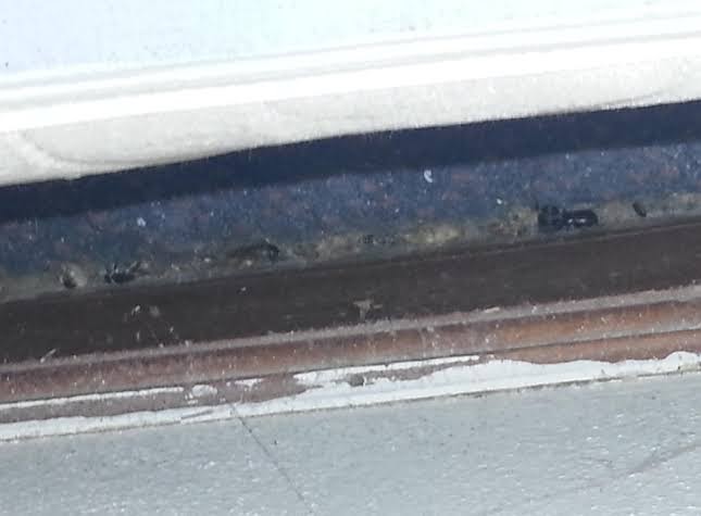 Budget Inn Appomattox